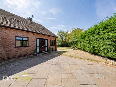 Picture 21
